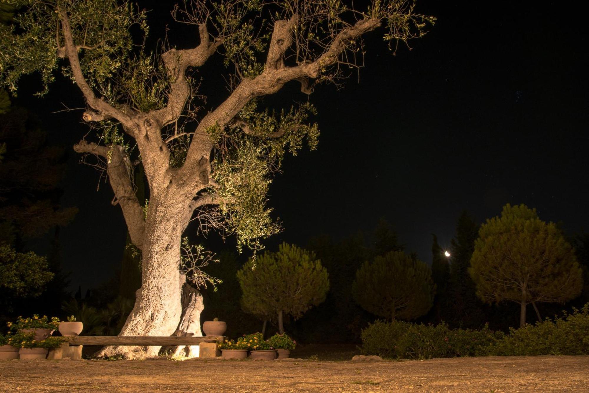 Masseria Fracchicchi Galatina Extérieur photo